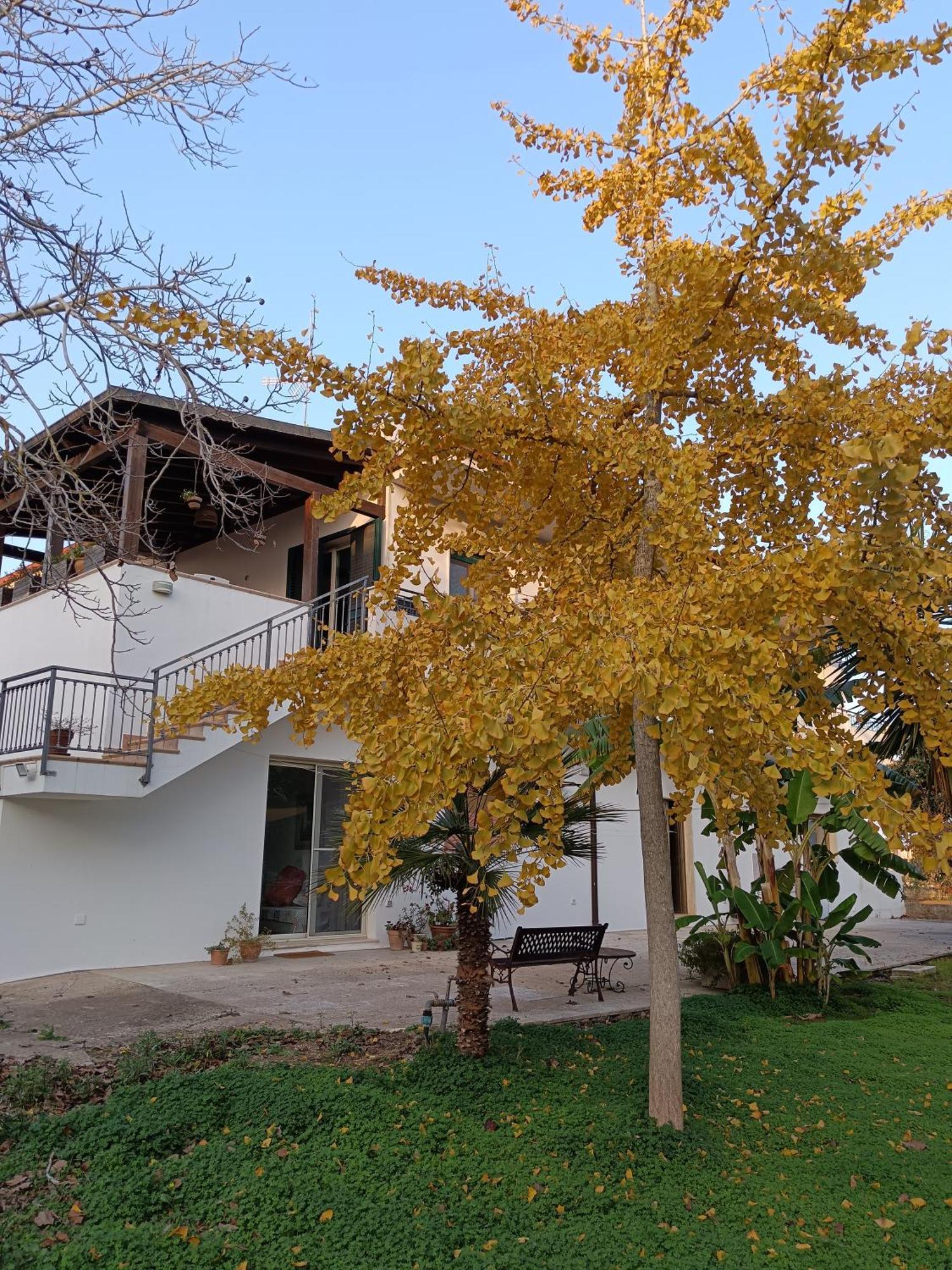 Vila La Casa Del Noce Ruffano Exteriér fotografie